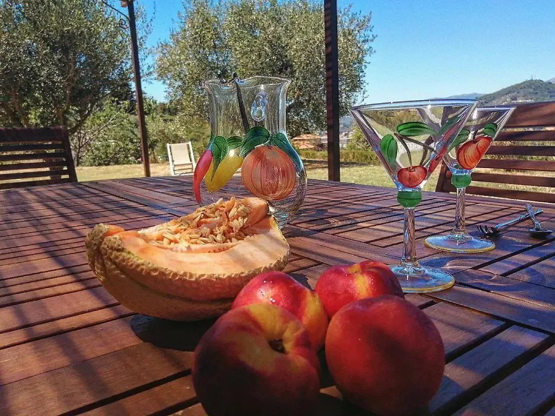 Casa vacanze Villa Lazzarini Appartamento Rosella In Villa Con Piscina A 2Km Dal Mare Imperia Italia